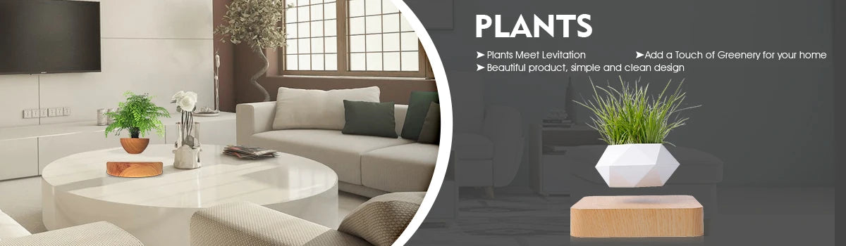 AeroGlow™ Magnetic Levitating Desk Planter